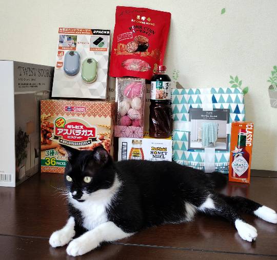 11月16日(日曜日) 　広島倉庫店｜今日はムッスメのタンジョビなのでケーキを...