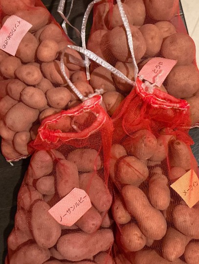 ★ドンキ♡♡ロピア雑談123★