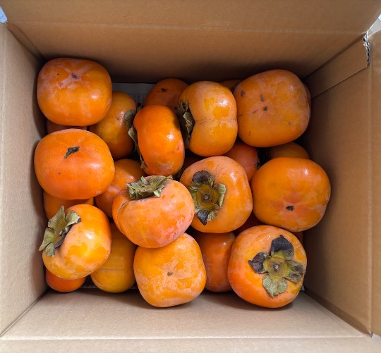 ★ドンキ♡♡ロピア雑談123★