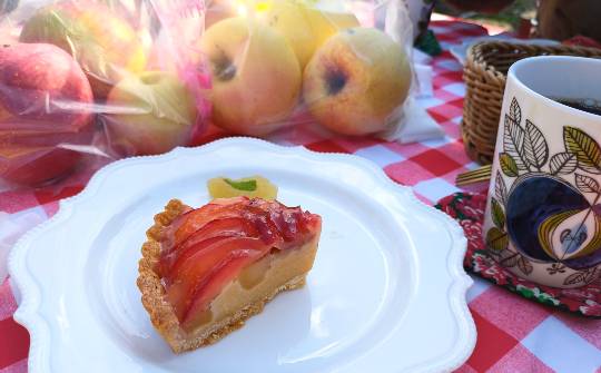 生き物ルーム76