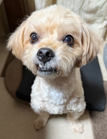 生き物ルーム76