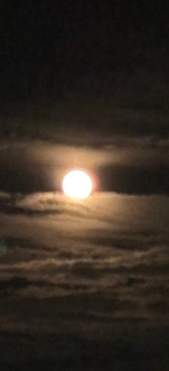 ★ドンキ♡♡ロピア雑談122★