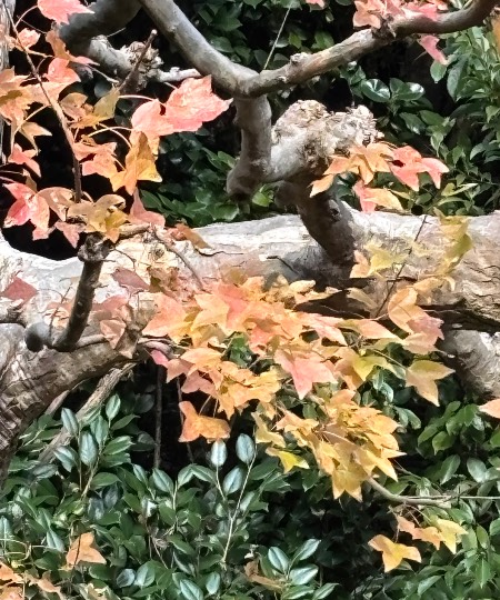 ★ドンキ♡♡ロピア雑談123★