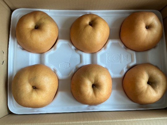 ★ドンキ♡♡ロピア雑談122★