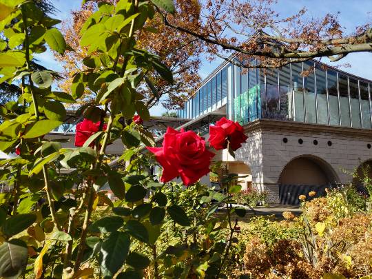 【スナックJINJIN】キッチンカー　いつか来た道　出張営業９