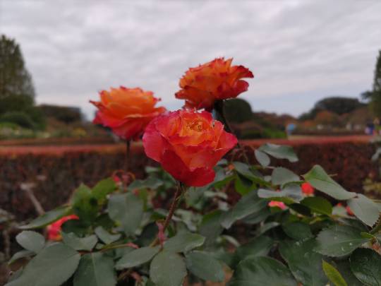 ★ドンキ♡♡ロピア雑談122★