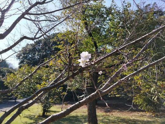 【スナックJINJIN】キッチンカー いつか来た道 出張営業9