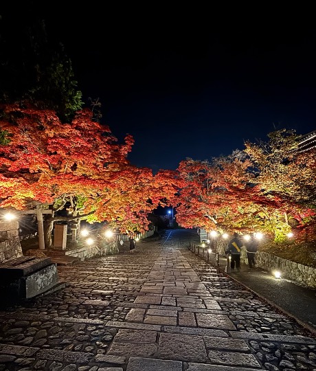 ★ドンキ♡♡ロピア雑談123★