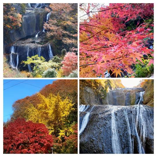 マスク同好会詰め所兼ニューフェイス歓迎所47╰⁠(⁠*⁠´⁠︶⁠`⁠*⁠)⁠╯