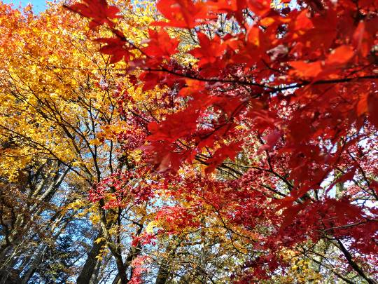 ★ドンキ♡♡ロピア雑談123★