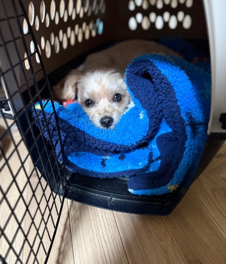 生き物ルーム76