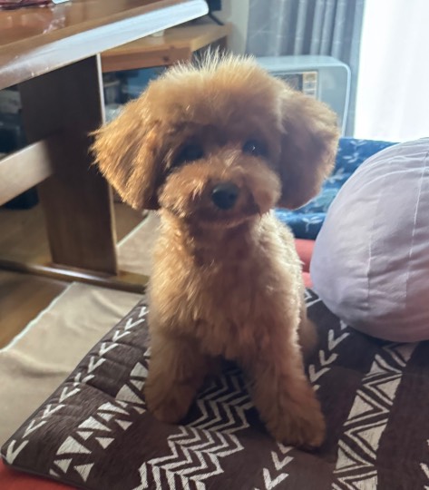 生き物ルーム76