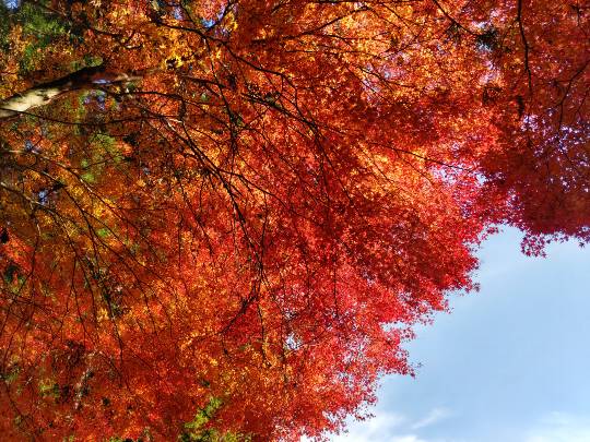★ドンキ♡♡ロピア雑談123★