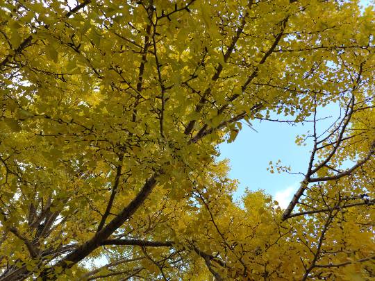 ★ドンキ♡♡ロピア雑談123★