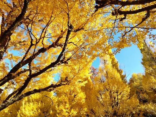 ★ドンキ♡♡ロピア雑談123★