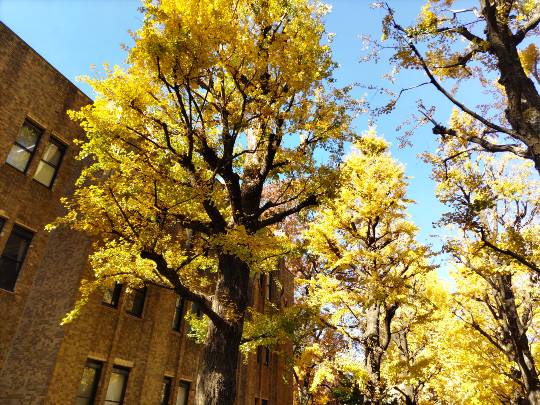 ★ドンキ♡♡ロピア雑談123★