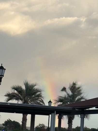 ★ドンキ♡♡ロピア雑談122★