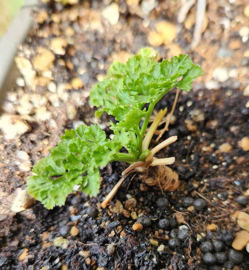 生き物ルーム76