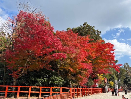 ★ドンキ♡♡ロピア雑談123★