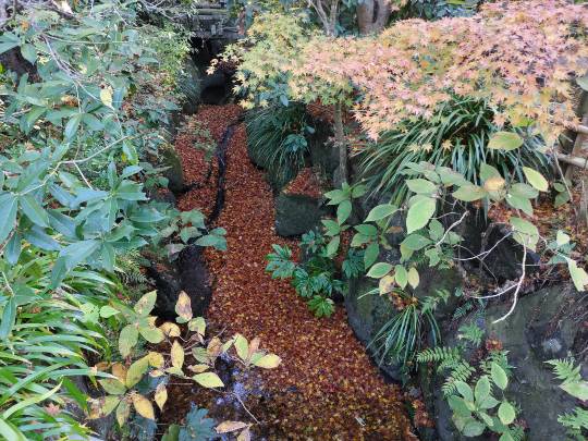 ★ドンキ♡♡ロピア雑談123★