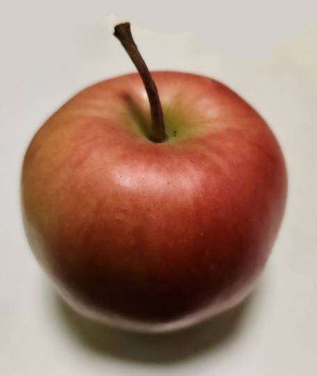 マスク同好会詰め所兼ニューフェイス歓迎所47╰⁠(⁠*⁠´⁠︶⁠`⁠*⁠)⁠╯