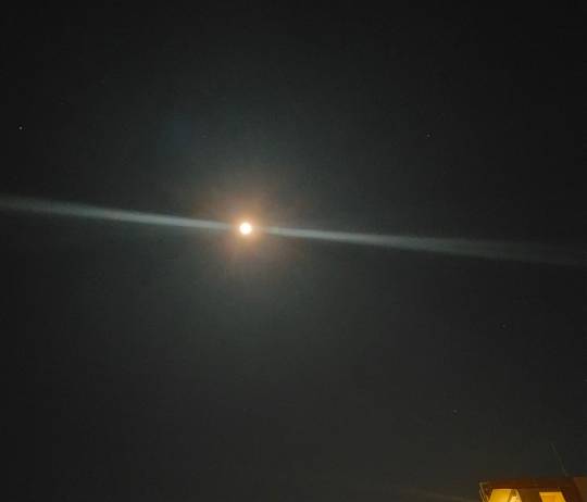 ★ドンキ♡♡ロピア雑談123★