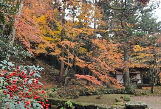 マスク同好会詰め所兼ニューフェイス歓迎所47╰⁠(⁠*⁠´⁠︶⁠`⁠*⁠)⁠╯