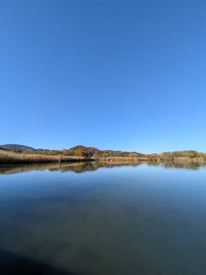 あつまれ！サブカルの森 ＃5