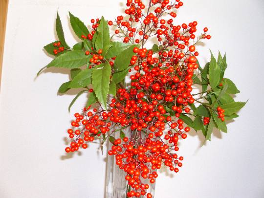 ★ドンキ♡♡ロピア雑談124★