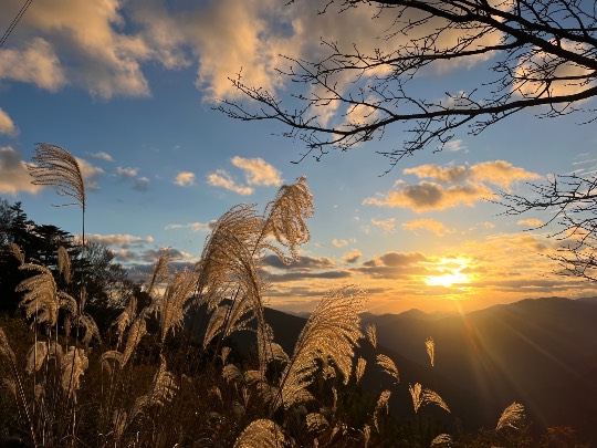 ★ドンキ♡♡ロピア雑談124★