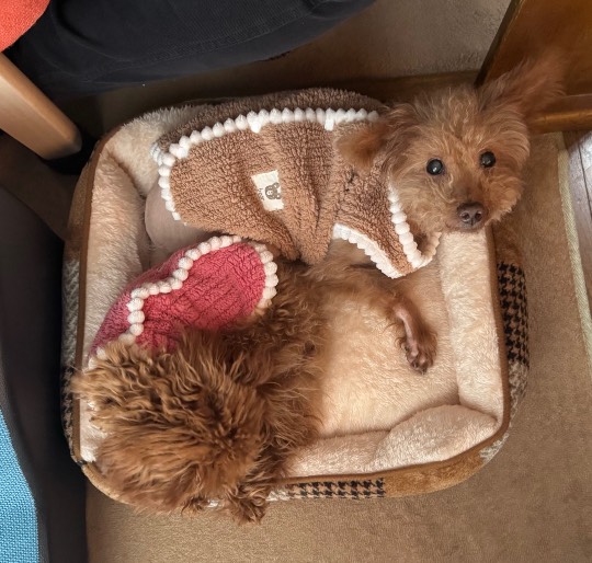 生き物ルーム76