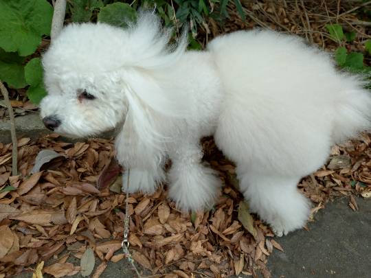 生き物ルーム76