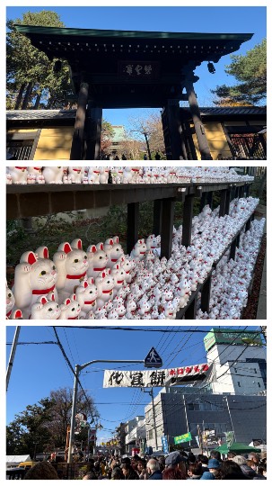 マスク同好会詰め所兼ニューフェイス歓迎所47╰⁠(⁠*⁠´⁠︶⁠`⁠*⁠)⁠╯