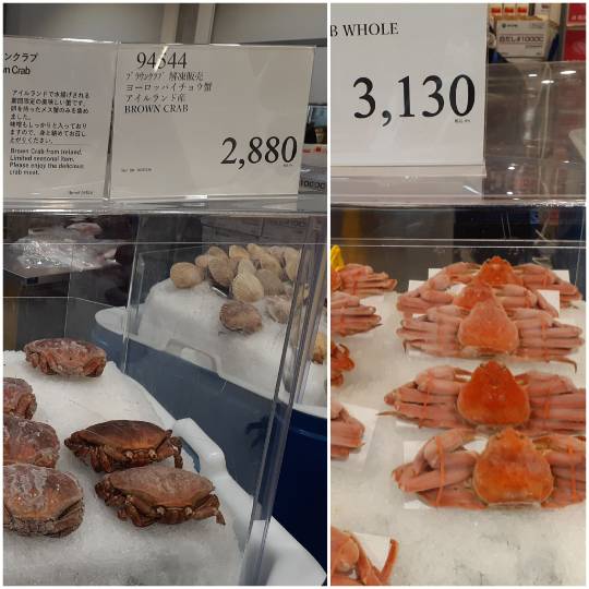 12月31日(水曜日) 　かみのやま倉庫店｜そこそこの混み具合です。
混みポイント...