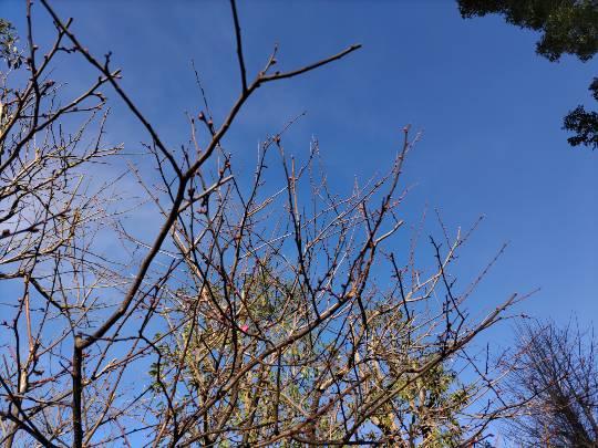 【スナックJINJIN】キッチンカー　家路を急ぐ夕暮れに　出張営業10