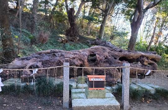 マスク同好会詰め所兼ニューフェイス歓迎所47╰⁠(⁠*⁠´⁠︶⁠`⁠*⁠)⁠╯