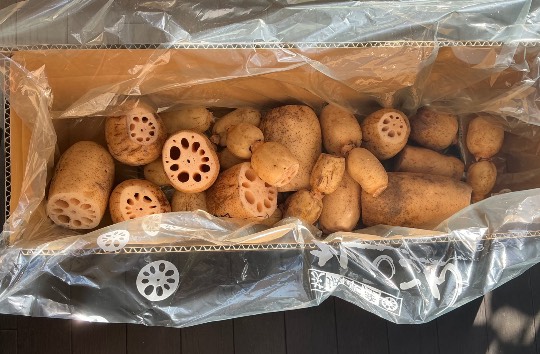 ★ドンキ♡♡ロピア雑談124★