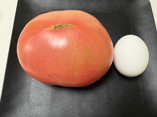 ★ドンキ♡♡ロピア雑談124★