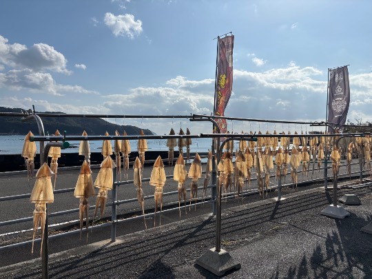 ★ドンキ♡♡ロピア雑談124★