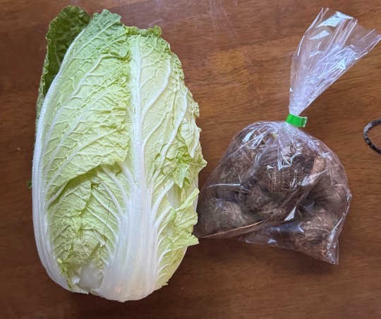 ★ドンキ♡♡ロピア雑談124★