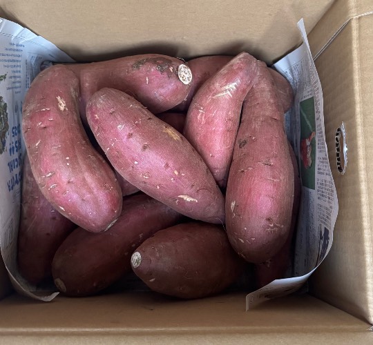 ★ドンキ♡♡ロピア雑談124★