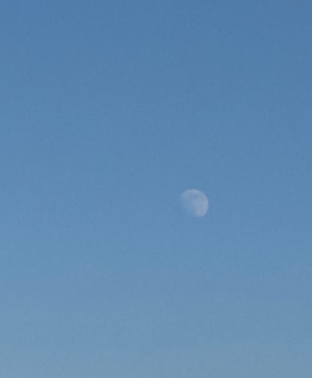 ★ドンキ♡♡ロピア雑談124★