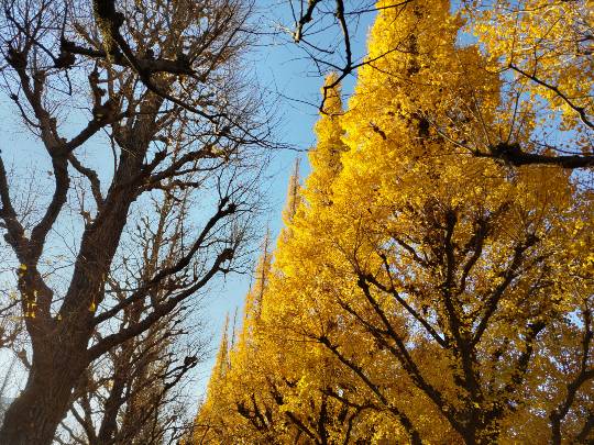 【スナックJINJIN】キッチンカー　家路を急ぐ夕暮れに　出張営業10