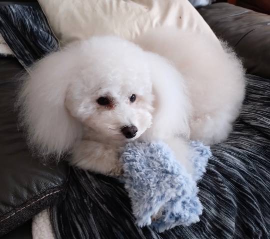 生き物ルーム76