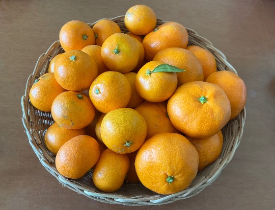 ★ドンキ♡♡ロピア雑談124★