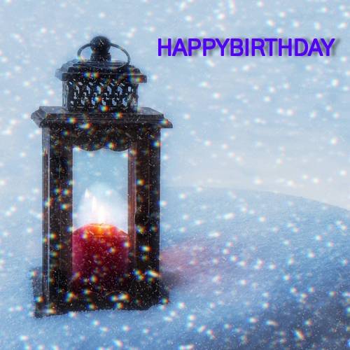 【料理トピ】食い隊 知り隊 作り隊　鉢