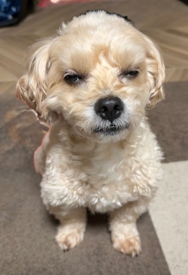 生き物ルーム76