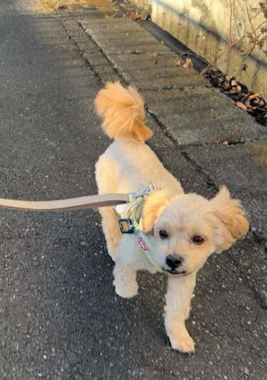 生き物ルーム76