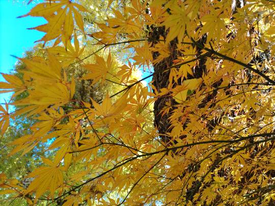 雑談お絵描き部・コラージュ部・素材提供部　No.20