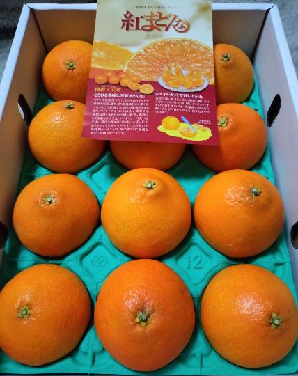 マスク同好会詰め所兼ニューフェイス歓迎所47╰⁠(⁠*⁠´⁠︶⁠`⁠*⁠)⁠╯